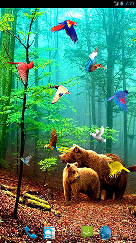 Ladda ner Forest birds - gratis live wallpaper för Android på skrivbordet.