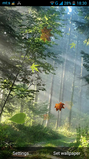 Gratis levande bakgrundsbilder Forest by Pro live wallpapers på Android-mobiler och surfplattor.