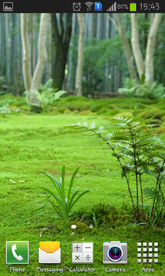 Forest landscape - ladda ner levande bakgrundsbilder till Android 4.3.1 mobiler.