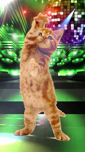 Ladda ner Funny pets: dancing and singing - gratis live wallpaper för Android på skrivbordet.