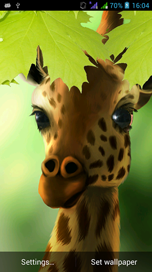 Gratis levande bakgrundsbilder Giraffe HD på Android-mobiler och surfplattor.