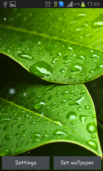 Green leaves - ladda ner levande bakgrundsbilder till Android 5.1 mobiler.