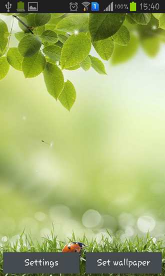 Green spring - ladda ner levande bakgrundsbilder till Android 4.0.2 mobiler.