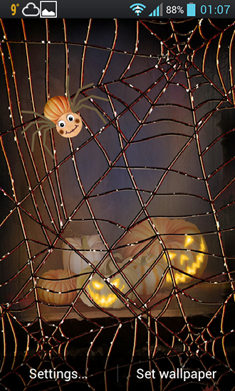 Halloween: Spider - ladda ner levande bakgrundsbilder till Android 4.4.4 mobiler.