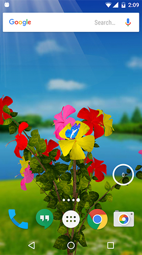 Ladda ner Hibiscus 3D - gratis live wallpaper för Android på skrivbordet.