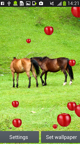 Ladda ner Horses by Latest Live Wallpapers - gratis live wallpaper för Android på skrivbordet.