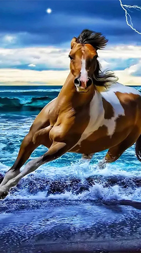 Ladda ner Horses by Pro Live Wallpapers - gratis live wallpaper för Android på skrivbordet.