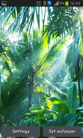Jungle - ladda ner levande bakgrundsbilder till Android 5.1 mobiler.