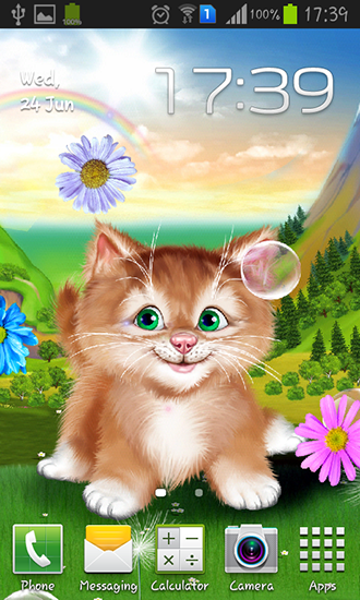 Kitten - ladda ner levande bakgrundsbilder till Android 4.0.3 mobiler.