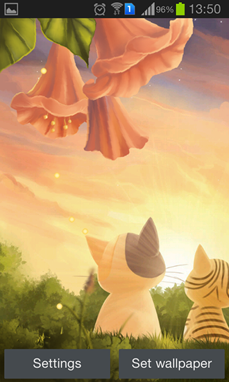 Gratis levande bakgrundsbilder Kitten: Sunset på Android-mobiler och surfplattor.
