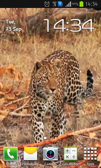 Leopard - ladda ner levande bakgrundsbilder till Android 1 mobiler.