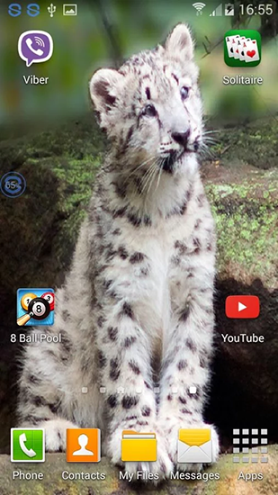 Gratis Djur live wallpaper för Android på surfplattan arbetsbordet: Leopards: shake and change.