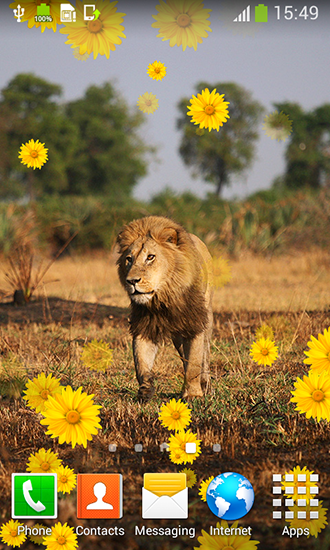 Gratis levande bakgrundsbilder Lion by Live Wallpapers Free på Android-mobiler och surfplattor.