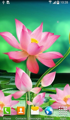 Gratis Växter live wallpaper för Android på surfplattan arbetsbordet: Lotus.