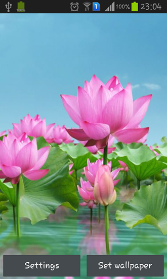 Lotus pond - ladda ner levande bakgrundsbilder till Android A.n.d.r.o.i.d. .5...0. .a.n.d. .m.o.r.e mobiler.