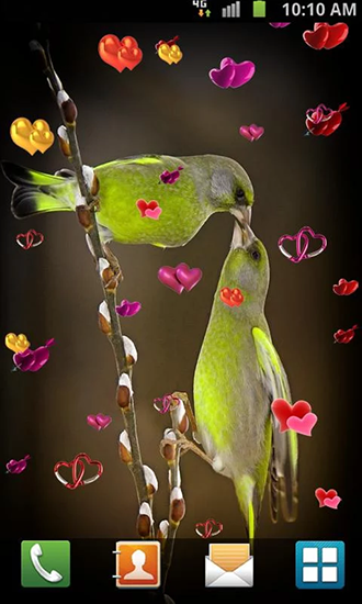 Gratis Djur live wallpaper för Android på surfplattan arbetsbordet: Love: Birds.