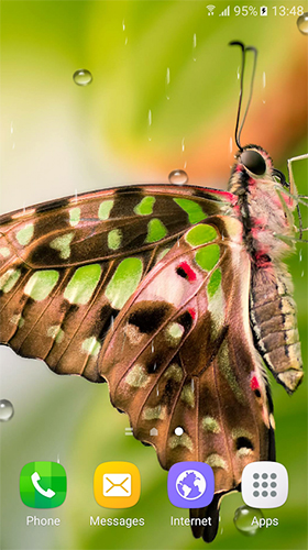 Ladda ner Macro butterflies - gratis live wallpaper för Android på skrivbordet.