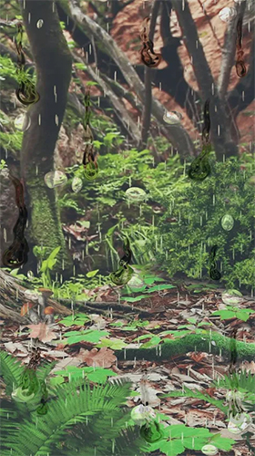 Ladda ner Magic forest - gratis live wallpaper för Android på skrivbordet.