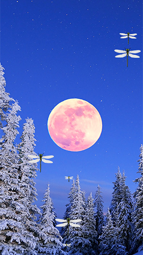 Ladda ner Moonlight by Fantastic Live Wallpapers - gratis live wallpaper för Android på skrivbordet.