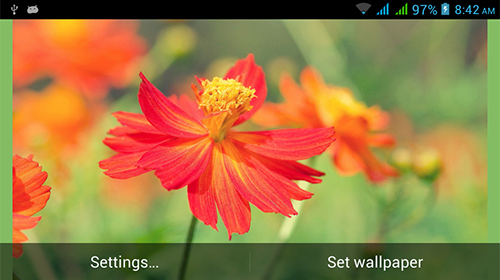 Ladda ner Nature HD by Live Wallpapers Ltd. - gratis live wallpaper för Android på skrivbordet.
