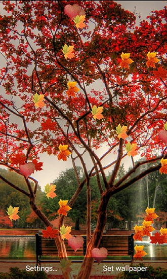 Nature: Changing leaf - ladda ner levande bakgrundsbilder till Android 9.0 mobiler.