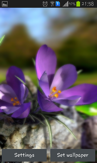 Gratis Interactive live wallpaper för Android på surfplattan arbetsbordet: Nature live: Spring flowers 3D.