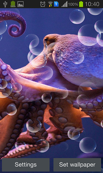 Octopus - ladda ner levande bakgrundsbilder till Android 9.3.1 mobiler.