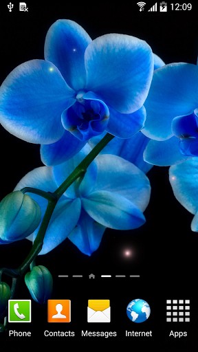 Gratis Blommor live wallpaper för Android på surfplattan arbetsbordet: Orchids.