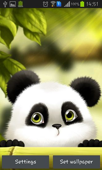 Panda - ladda ner levande bakgrundsbilder till Android 4.4.2 mobiler.
