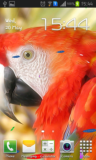 Parrot by TTR - ladda ner levande bakgrundsbilder till Android 4.3 mobiler.