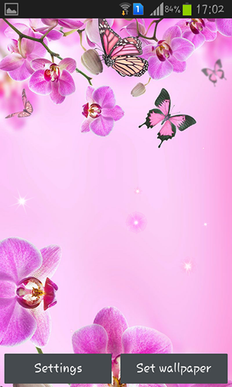 Pink flowers - ladda ner levande bakgrundsbilder till Android 3.0 mobiler.