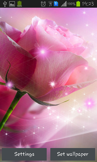 Pink roses - ladda ner levande bakgrundsbilder till Android 3.0 mobiler.