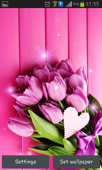 Pink tulips - ladda ner levande bakgrundsbilder till Android 4.0 mobiler.