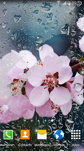 Ladda ner Rainy flowers - gratis live wallpaper för Android på skrivbordet.