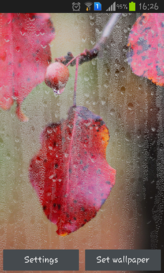 Gratis Interactive live wallpaper för Android på surfplattan arbetsbordet: Rainy autumn.
