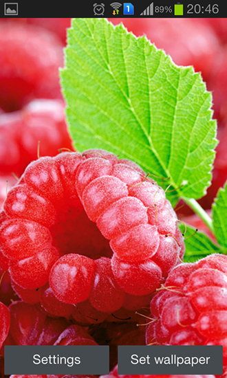 Gratis levande bakgrundsbilder Raspberries på Android-mobiler och surfplattor.
