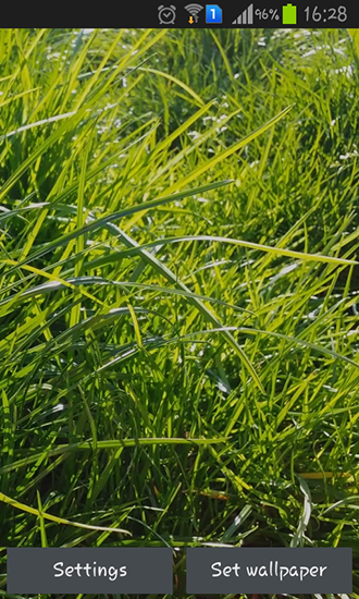 Real grass - ladda ner levande bakgrundsbilder till Android 8.0 mobiler.