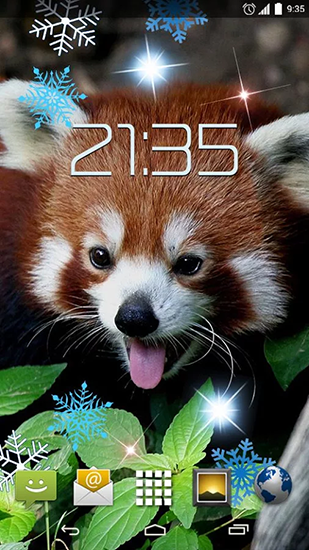 Red panda - ladda ner levande bakgrundsbilder till Android 9.3.1 mobiler.