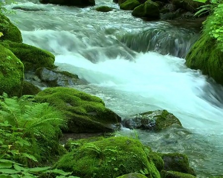 River flow - ladda ner levande bakgrundsbilder till Android 4.2 mobiler.