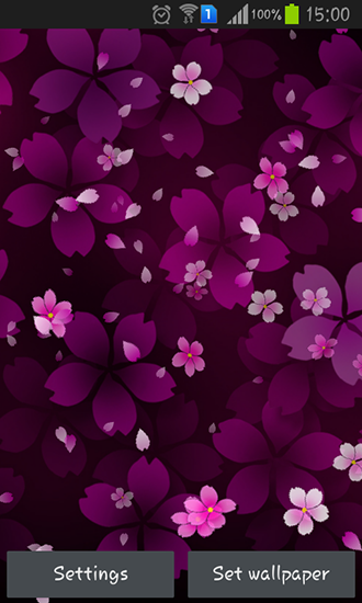Sakura falling - ladda ner levande bakgrundsbilder till Android 4.1.1 mobiler.