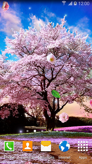 Sakura gardens - ladda ner levande bakgrundsbilder till Android 4.2.1 mobiler.