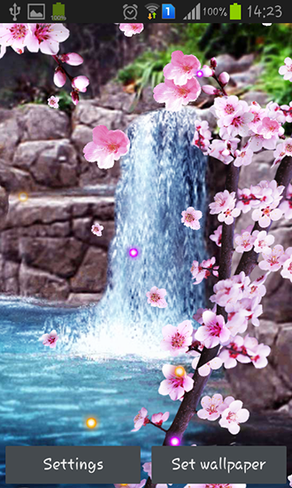 Sakura: Waterfall - ladda ner levande bakgrundsbilder till Android 4.3.1 mobiler.
