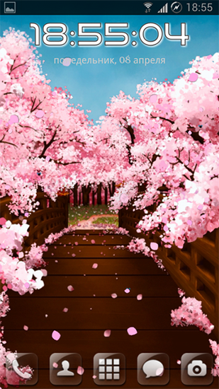 Gratis Blommor live wallpaper för Android på surfplattan arbetsbordet: Sakura's bridge.