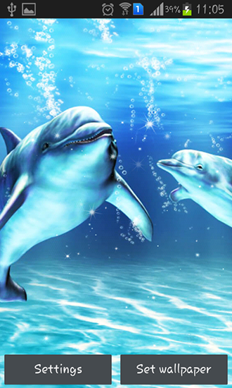 Sea dolphin - ladda ner levande bakgrundsbilder till Android 8.0 mobiler.