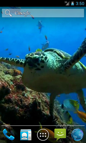 Sea turtle - ladda ner levande bakgrundsbilder till Android 5.0 mobiler.