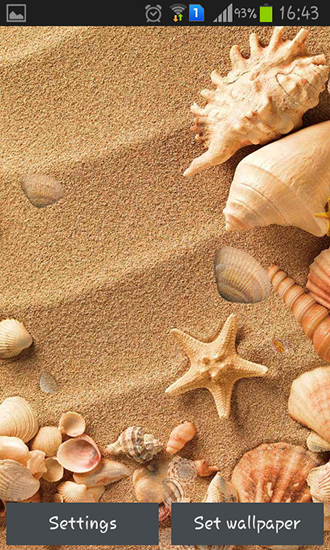 Seashell - ladda ner levande bakgrundsbilder till Android 4.0.1 mobiler.