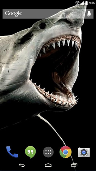 Shark 3D - ladda ner levande bakgrundsbilder till Android 4.3 mobiler.