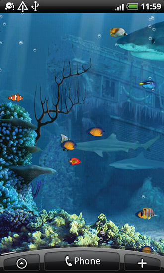 Gratis Akvarier live wallpaper för Android på surfplattan arbetsbordet: Shark reef.