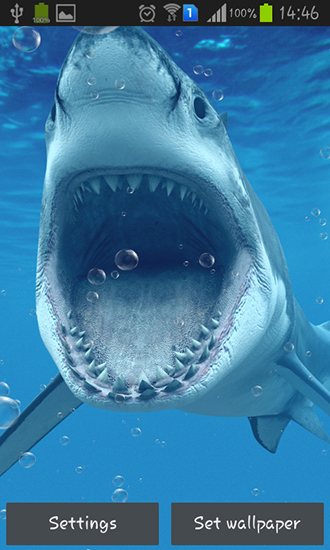 Sharks - ladda ner levande bakgrundsbilder till Android 2.3 mobiler.