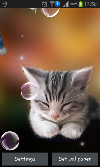Sleepy kitten - ladda ner levande bakgrundsbilder till Android 4.3 mobiler.
